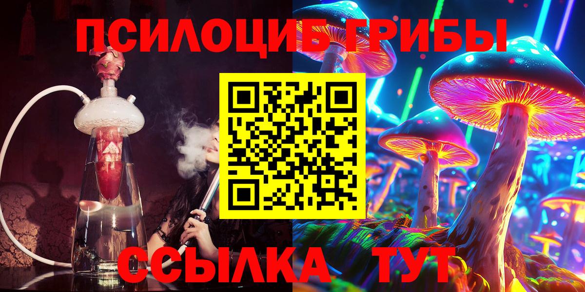 Галлюциногенные грибы MAGIC MUSHROOMS  Вход с VPN  где купить наркотик  Елец 