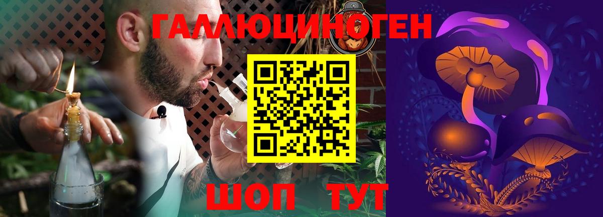Галлюциногенные грибы мухоморы Елец
